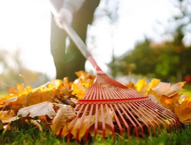 OUTDOOR YARDWORK HELP AVILIBLE CALL 647 858 3862 in Plants, Fertilizer & Soil in Mississauga / Peel Region - Image 4
