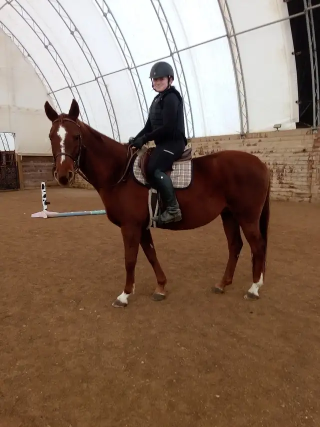 Horseback Riding65270199979906120
