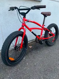 Vélo 20'' Bike
