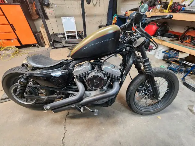 2007 Harley Davidson Nightster XL1200N in Street, Cruisers & Choppers in St. Albert - Image 4