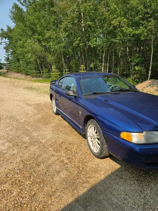 Ford Mustang520332087887800323