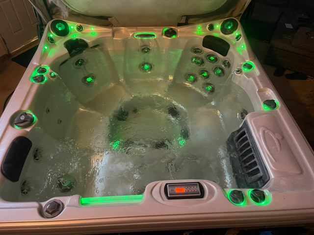 6 Person Dynasty Spas Trident Hot Tub with Stereo | Hot Tubs & Pools |  Edmonton | Kijiji