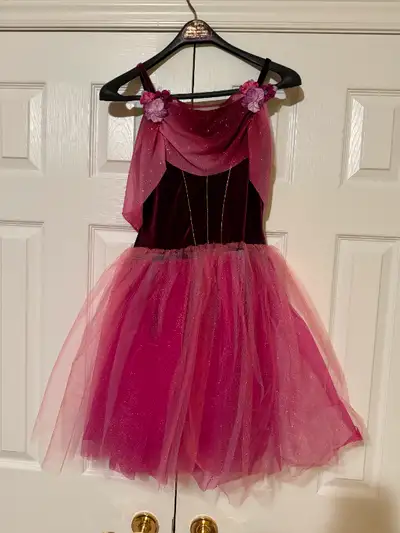 Gorgeous Dance/Skating Dress. Paid almost $100.