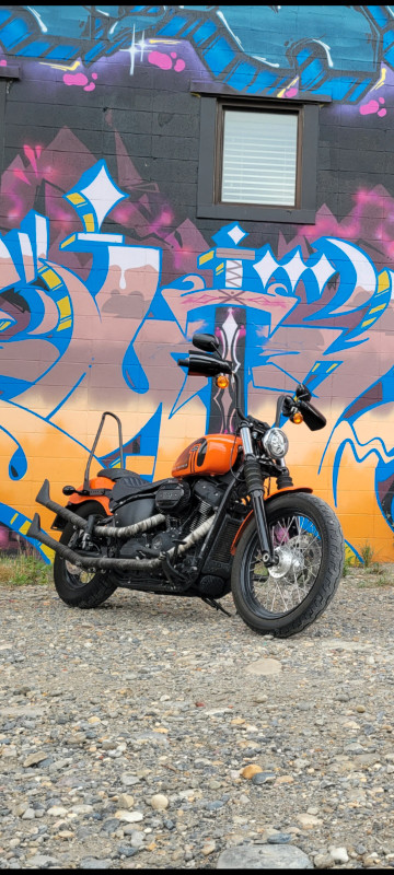 2021 Harley Davidson Street bob FXBBS 114 in Street, Cruisers & Choppers in Calgary - Image 4