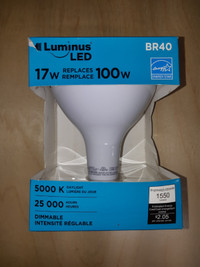 Luminus Led 5000 K