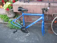 miele bike frame