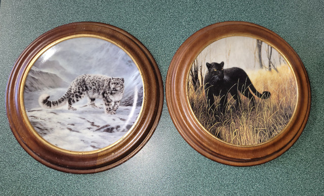 Beautiful set "Worlds most magnificiant Cats" framed plate set in Arts & Collectibles in Red Deer - Image 3
