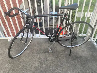 Retro Road Bike Bianchi Strada LX, 12-speed gear, Frame size L, View more