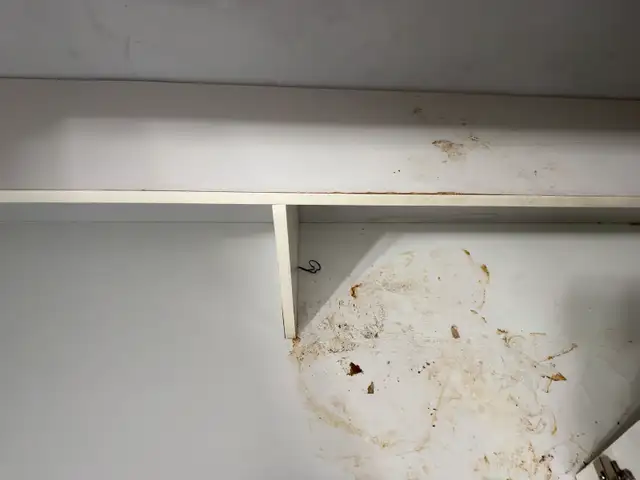cleaning service