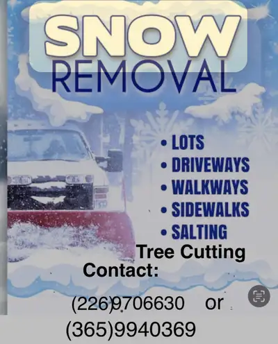 Snow shovel blow, View more