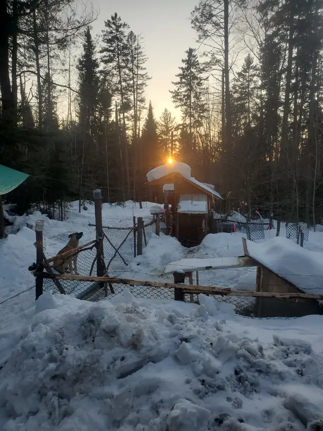 Solitude Glamping in the middle of Muskoka bush! in Ontario in Canada - Image 6