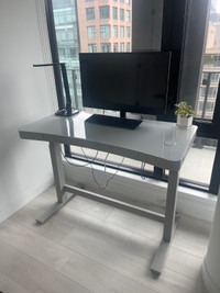 White Electronic Adjustable Standing Desk