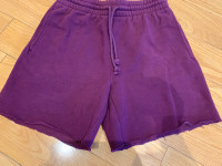 Aritzia women's shorts