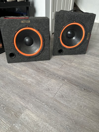 Two older speakers Saffire