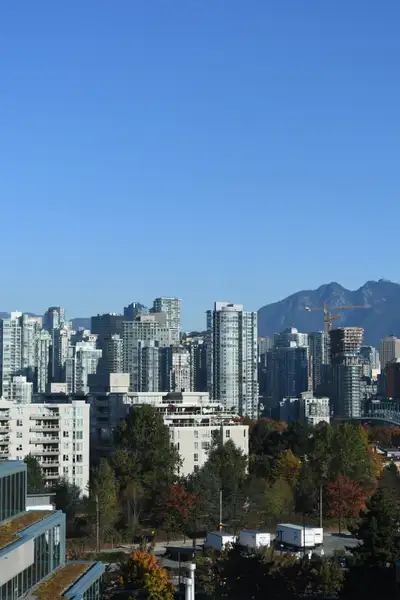 Executive 1-Bedroom Apartment with an extra Sunroom near VGH