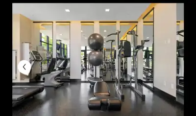 Furnished one bedroom luxurious condo May 20th,2025 - Sept 2025, View more
