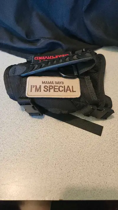 Brand new, Never used, Small cat or dog harness. Comes with velcro sayings on either side. Handle on...