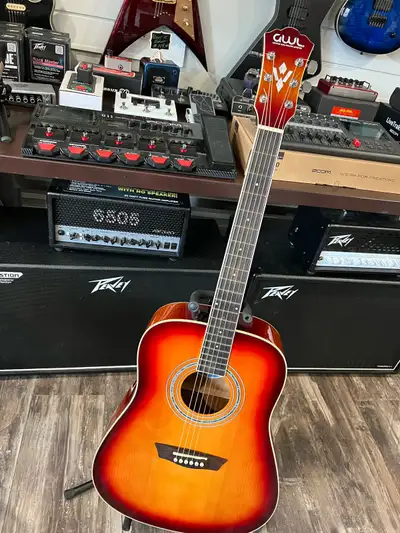 GWL George Washburn Limited Acoustic Guitar, View more
