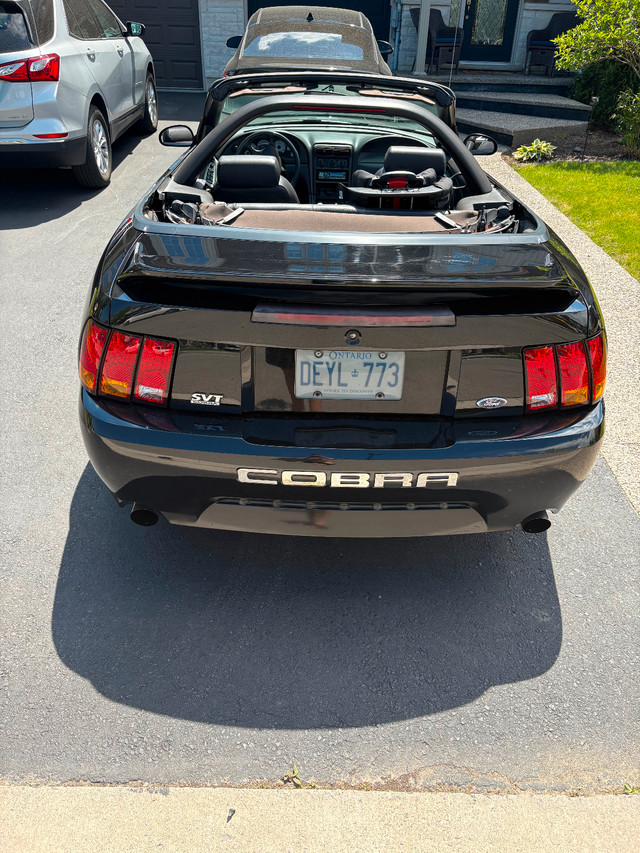 1999 Mustang SVT Cobra Convertible in Cars & Trucks in Hamilton - Image 3