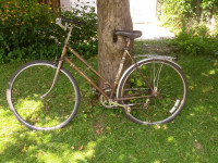 Women's Charming Vintage ( 1960's) Bicycle