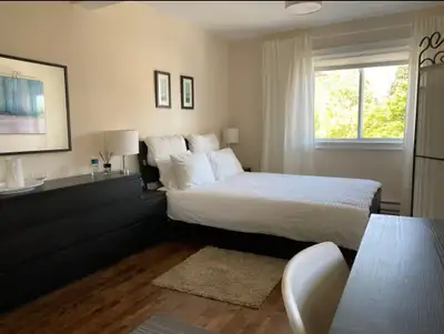 2 bedrooms and 1 bathroom … located in longeuil rue King George No smoking No Pet Avaible July 1st C...