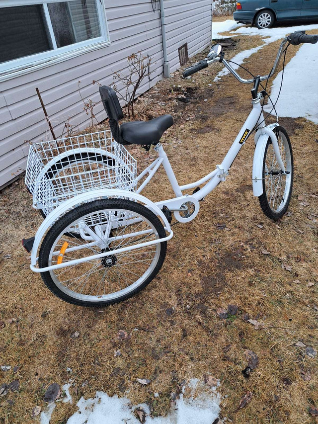 Tricycle 24po neuf 7 vitesse  dérailleur shimano  in Cruiser, Commuter & Hybrid in Victoriaville - Image 3