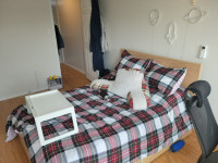 York University - Master Bedroom for Rent