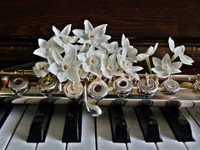 Piano and Flute Lessons 