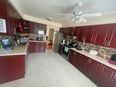 spacious 1 bedroom basement