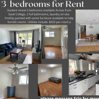 House near Sault college - 3 separate bedrooms for rent 