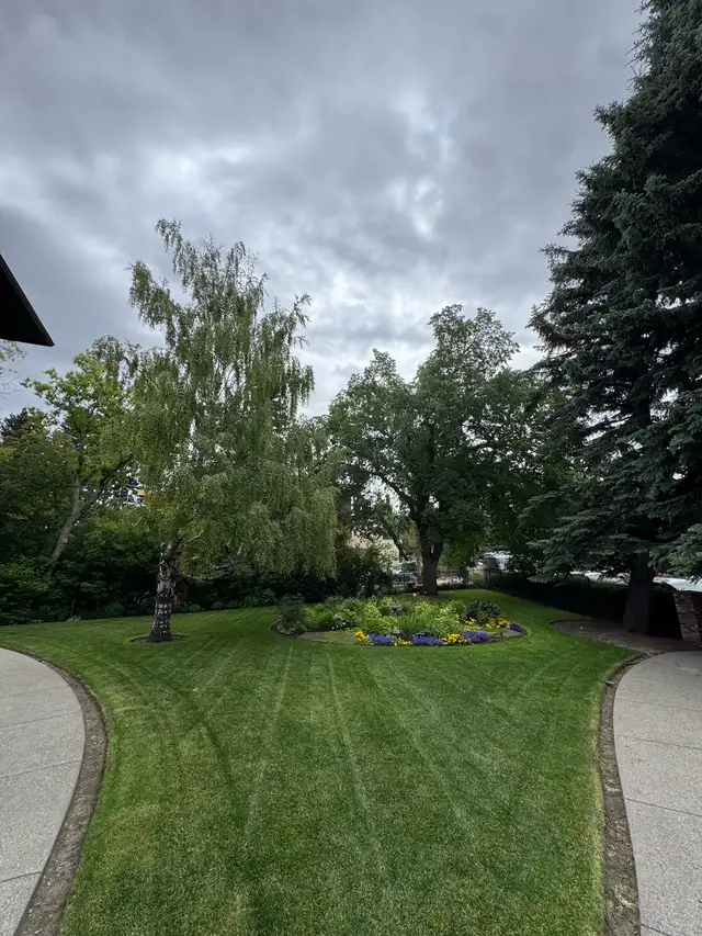 Lawn Care, Landscaping, Yard Cleanup!? Text me or Call Me! 63009266704387124