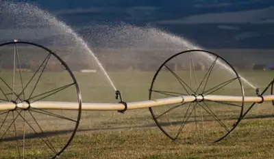looking to rent irrigate land near Medicine Hat