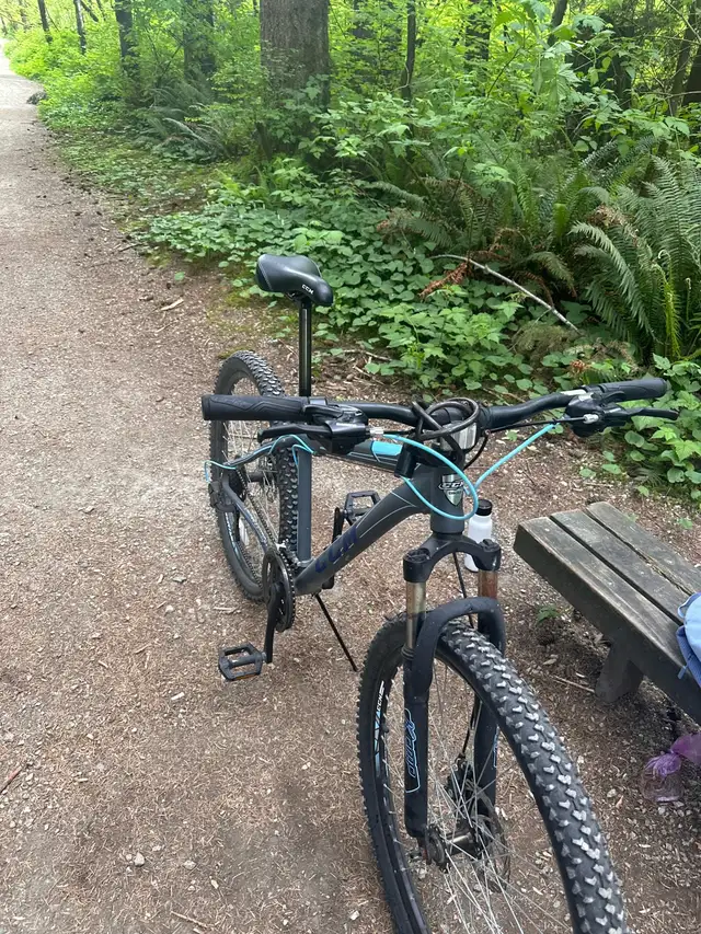 CCM Mountain Bike in Mountain in Delta/Surrey/Langley - Image 4