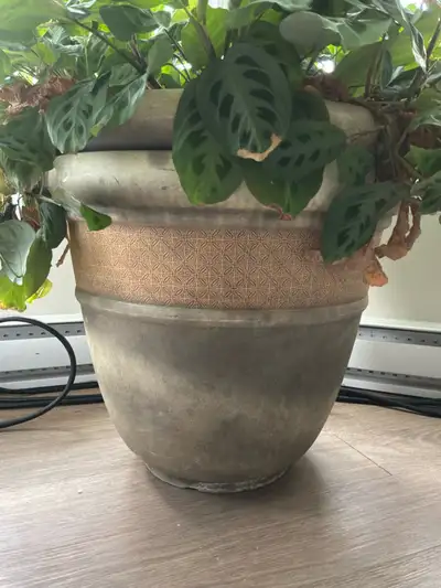 2x Large Plant Pots with Drainage, View more
