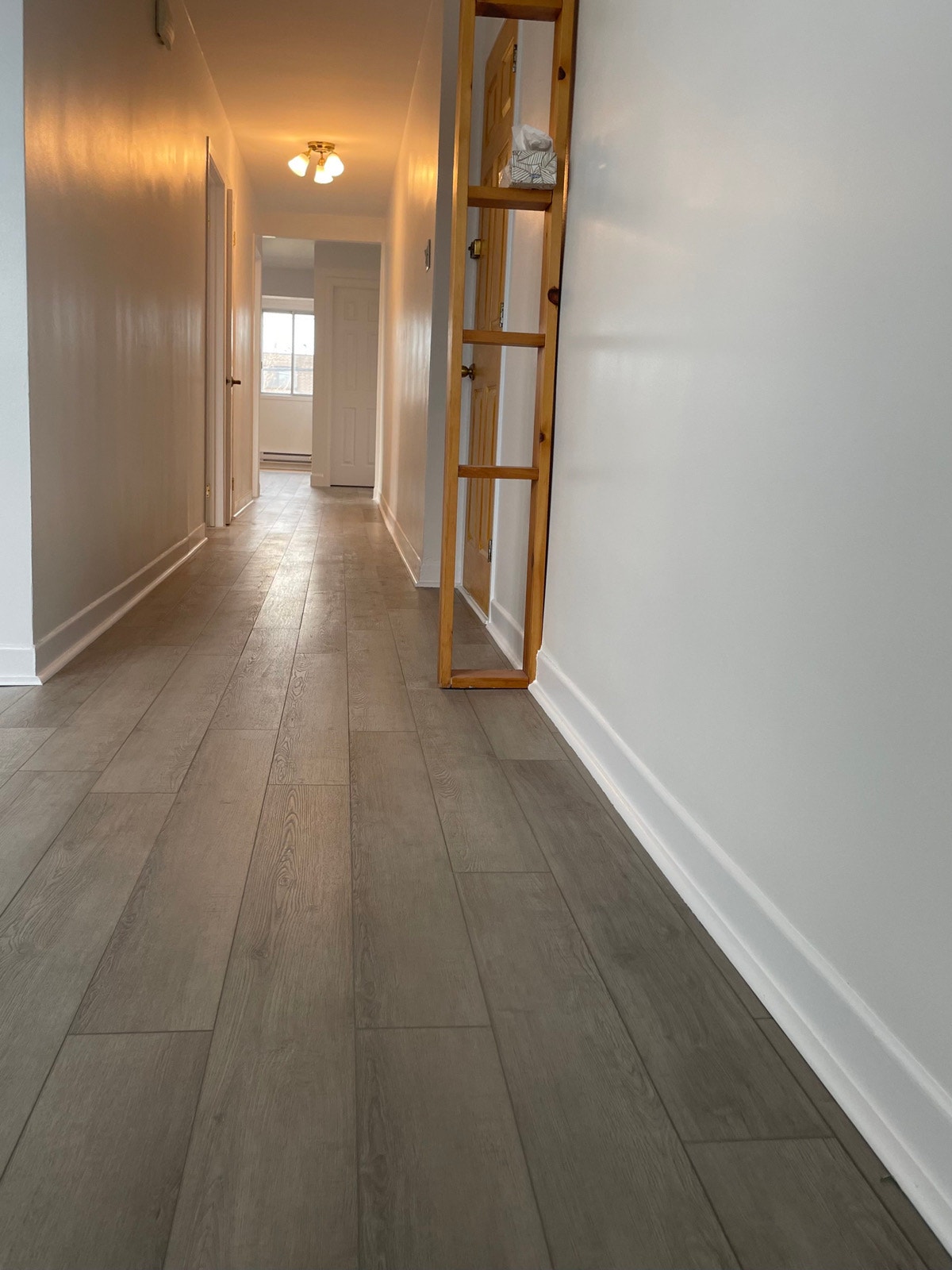 6342 Bd des Roseraies — photo 3