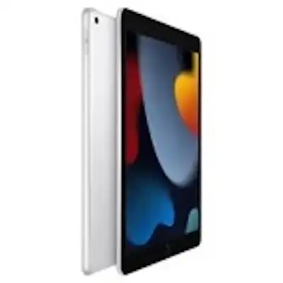 Apple iPad 9, 10.2 in. 256 GB, Wifi, A13 Bionic Chip with Neutra, View more