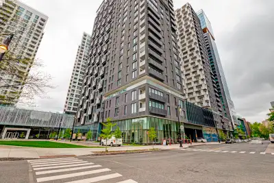 DT 1 bedroom for rental