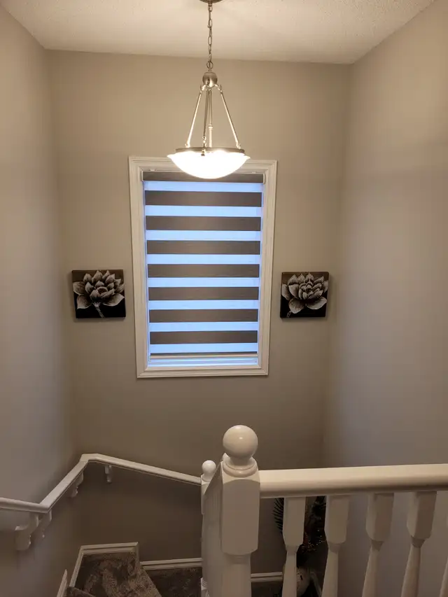 Stains & Paints628637109404171229
