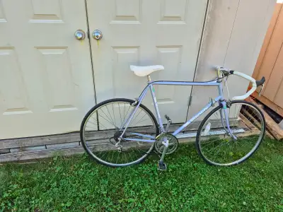 Bianchi Brava large road bike, View more