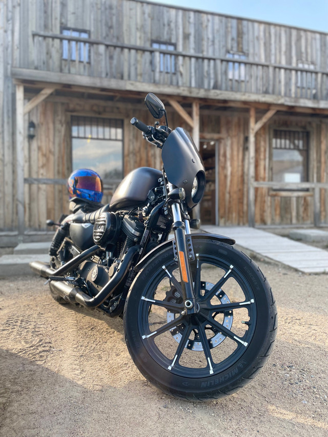 2016 Harley Davidson sportster  in Street, Cruisers & Choppers in Saskatoon - Image 3