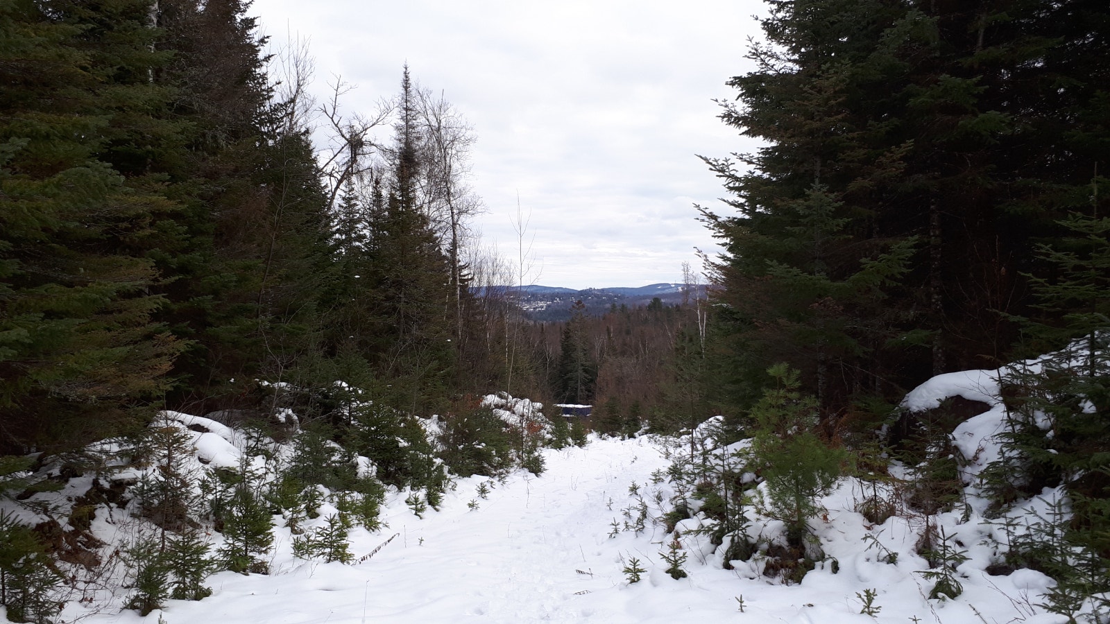 DEAL 55.1 Acres Résidentiel Vues Rareté — photo 2