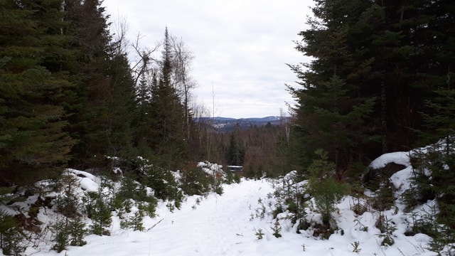 DEAL 55.1 Acres Résidentiel Vues Rareté — photo 2