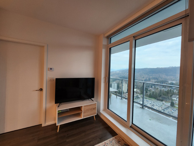 Furnished 2 Bedroom + 2 Bathroom in Long Term Rentals in Burnaby/New Westminster - Image 3