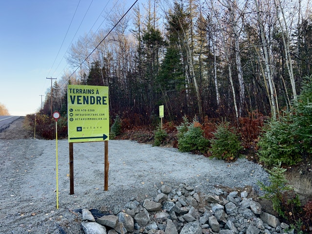 Grand terrain boisé Petit-Saguenay - 173 869 pi2 — photo 1