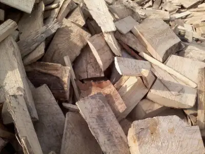 For sale oak / maple / ash / walnut slab wood, cut to approx 16 inch pieces $ 40 a face cord for the...