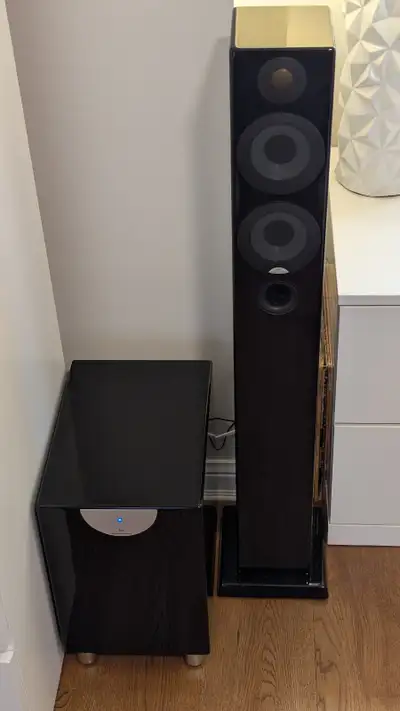 High end Monitor Audio audiophile speakers and subwoofer. Great sound. Super clear highs. Sub drives...