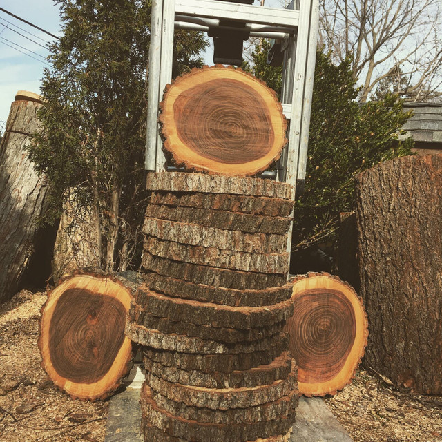 Event Centerpieces - Wood Rounds - Tree Slices dans Mariage  à Région de Mississauga/Peel - Image 2