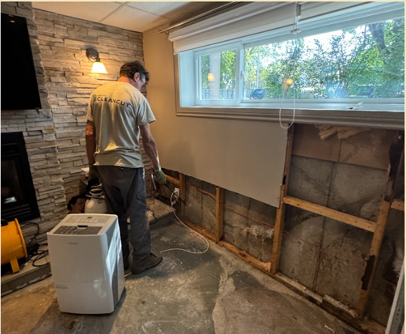 Demolition & Pickup64519980755330122