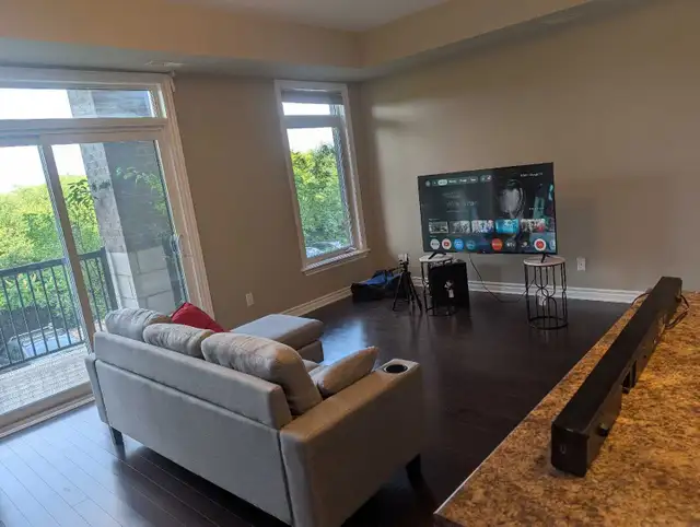 PROFESSIONAL OTTAWA PAINTER! 613-262-3721577405994235351044