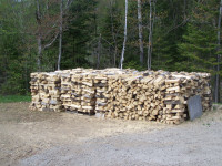 Dry Maple and Dry Poplar Firewood